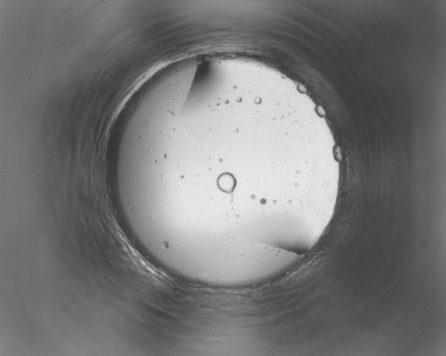 X0000076420828200611031811