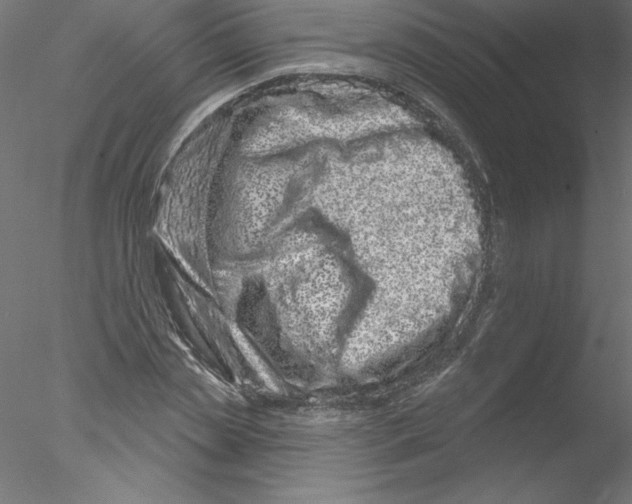 X0000076420829200611031811