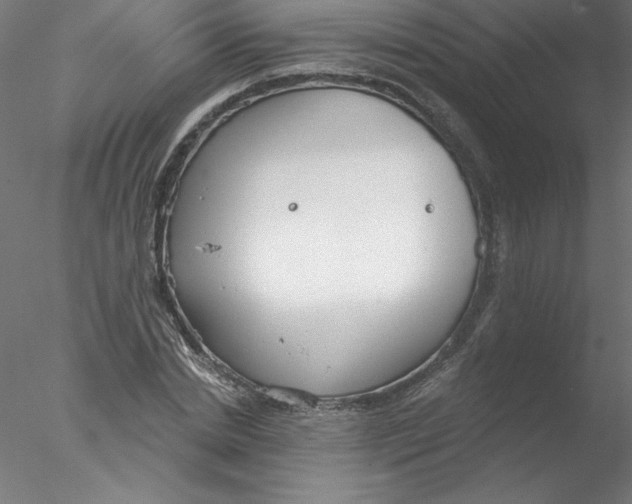 X0000076420830200611031811