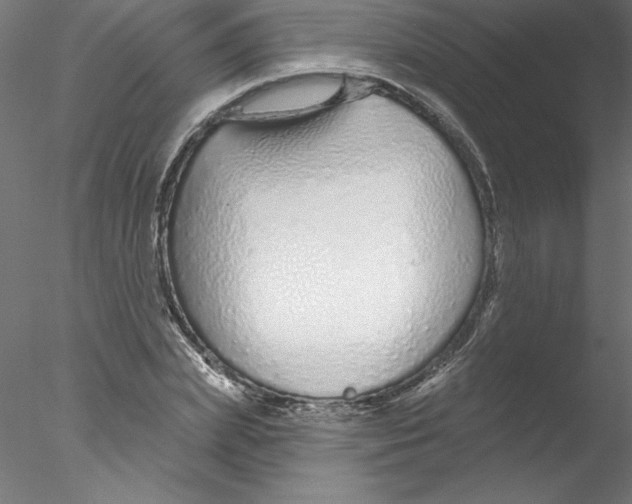 X0000076420831200611031811