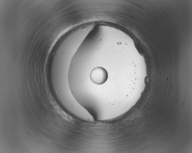 X0000076420832200611031811