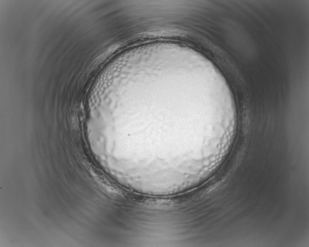 X0000076420833200611031811