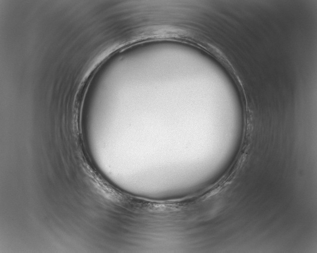 X0000076420835200611031811