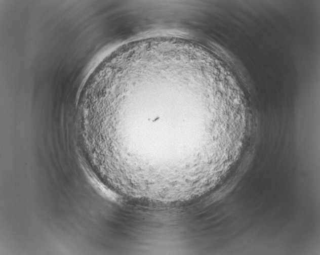 X0000076420836200611031811