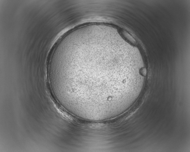 X0000076420837200611031811