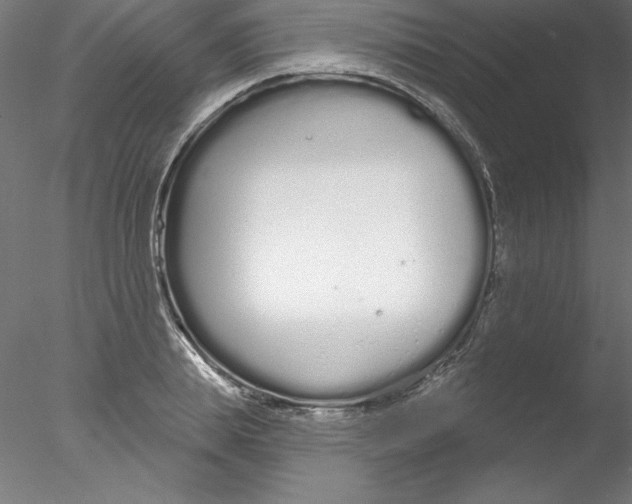 X0000076420839200611031811