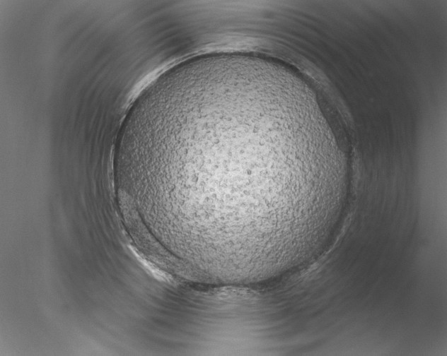 X0000076420842200611031811