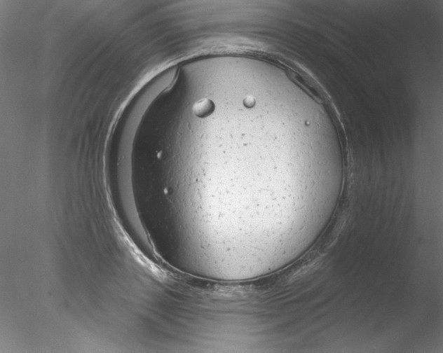 X0000076420843200611031811