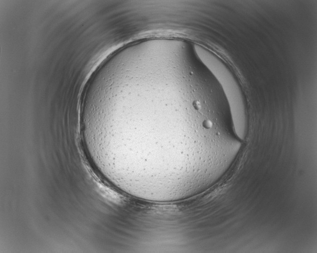 X0000076420844200611031811