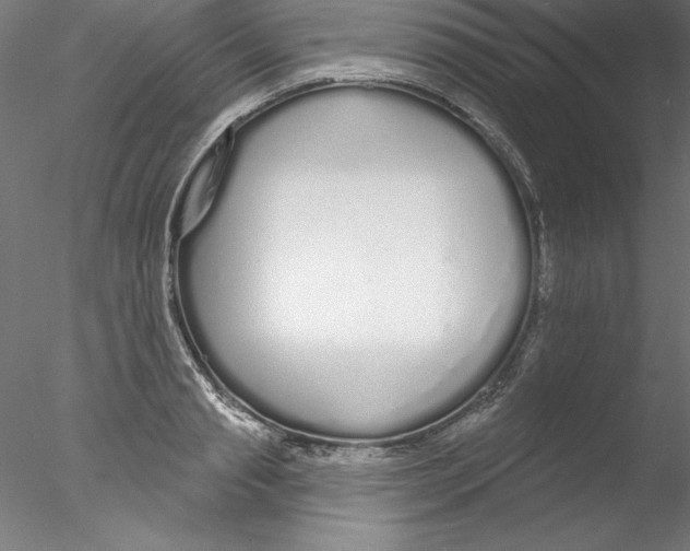 X0000076420845200611031811