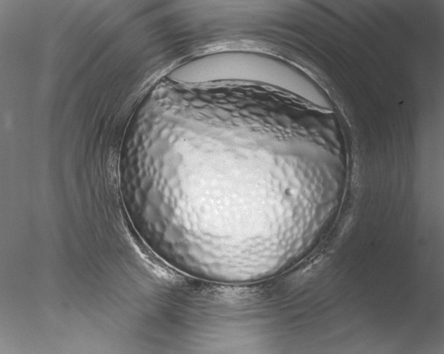 X0000076420849200611031811