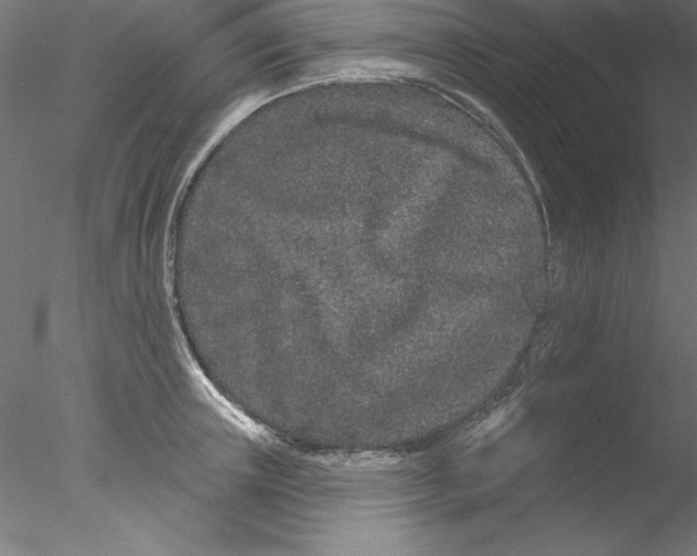 X0000076420851200611031811