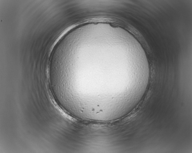 X0000076420852200611031811