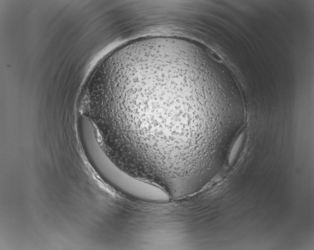 X0000076420854200611031811