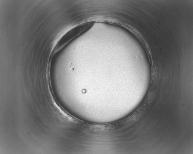 X0000076420855200611031811