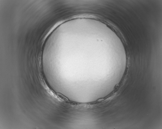 X0000076420860200611031812