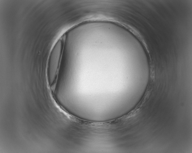 X0000076420863200611031812