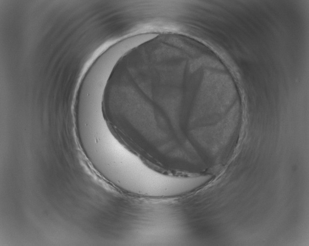 X0000076420864200611031812