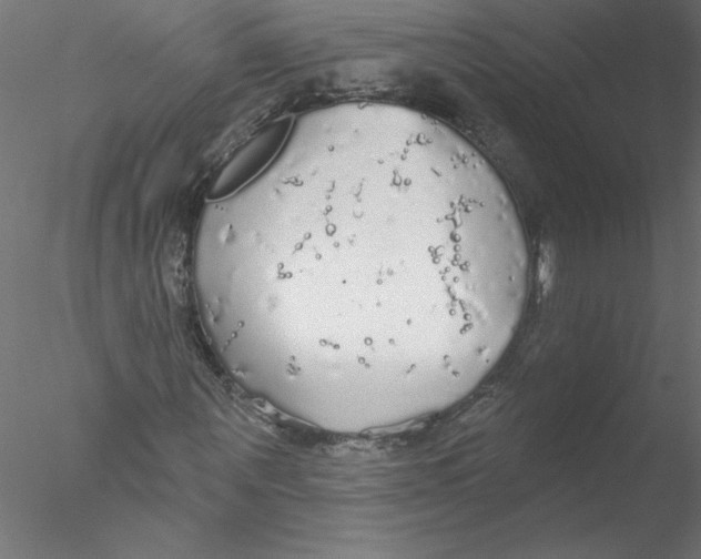 X0000076420867200611031811