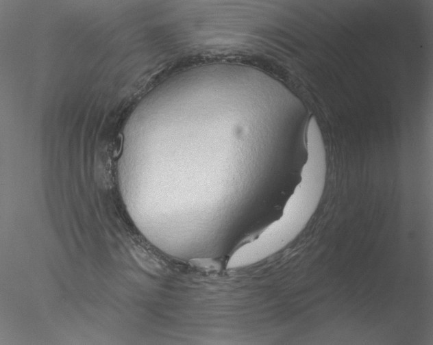 X0000076420868200611031811