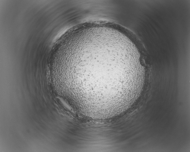 X0000076420871200611031811