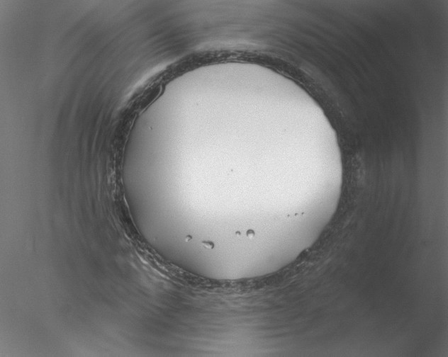 X0000076420872200611031811