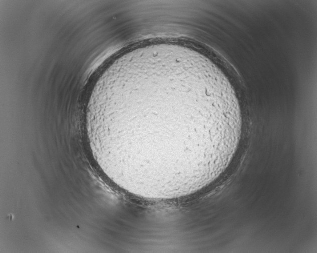 X0000076420874200611031811