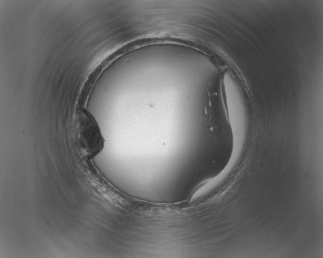 X0000076420876200611031811