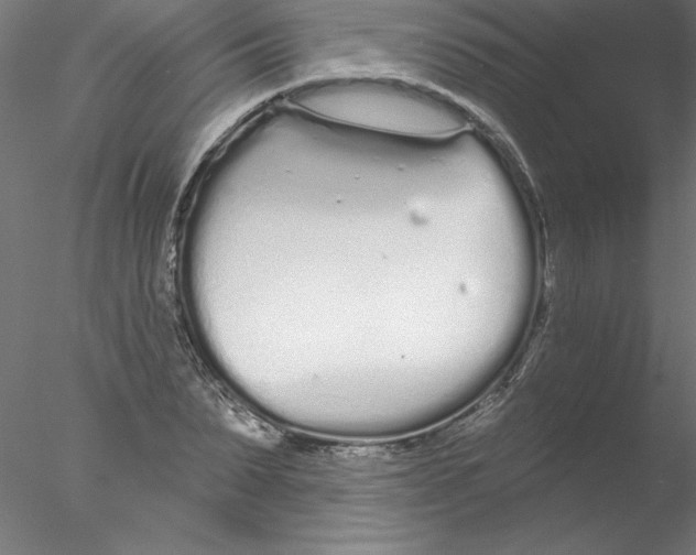 X0000076420879200611031811