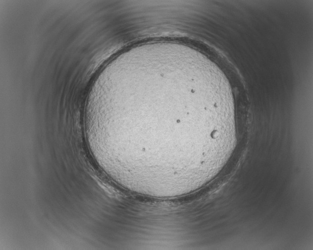 X0000076420881200611031811