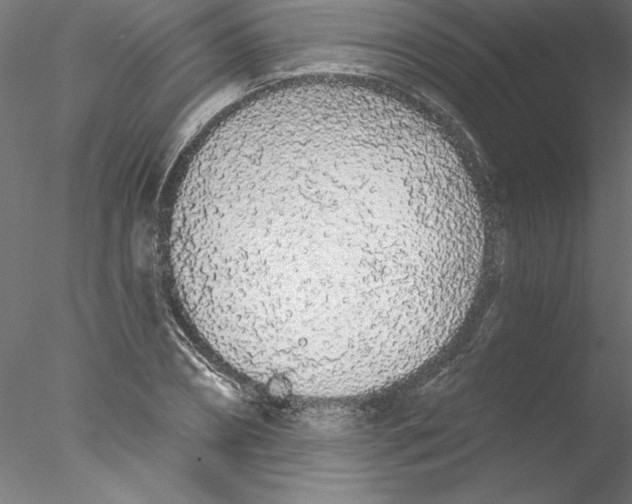 X0000076420882200611031811