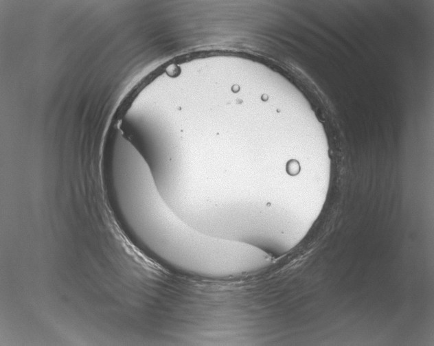 X0000076420884200611031810