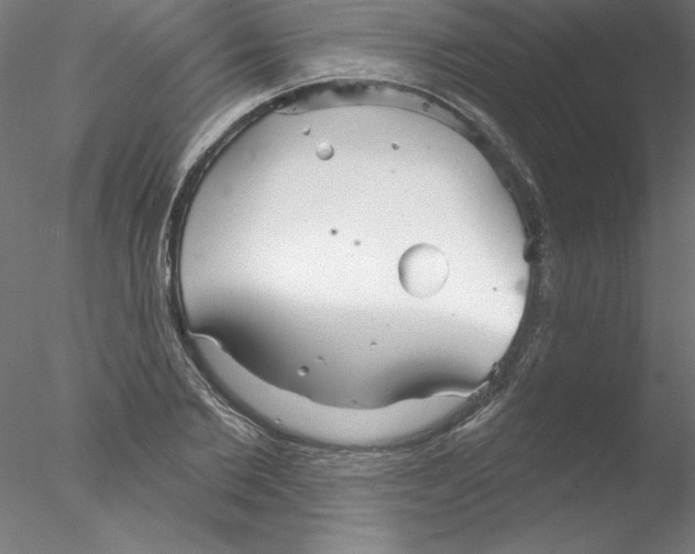 X0000076420885200611031810