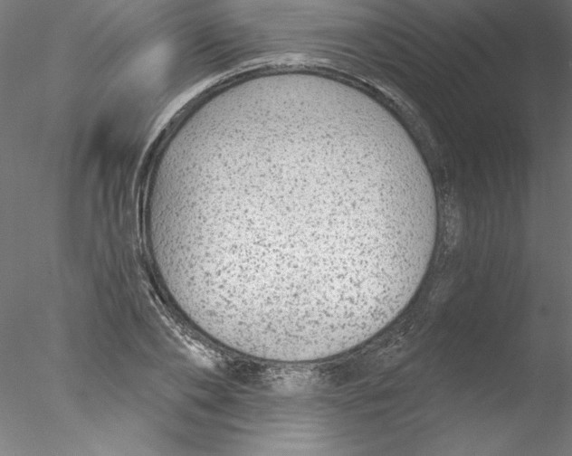 X0000076420886200611031810