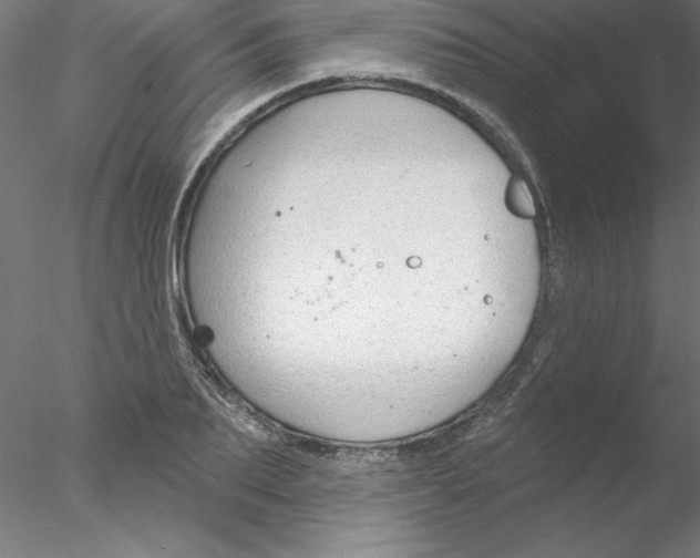 X0000076420887200611031810