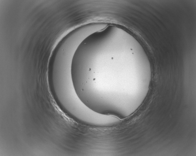 X0000076420888200611031810