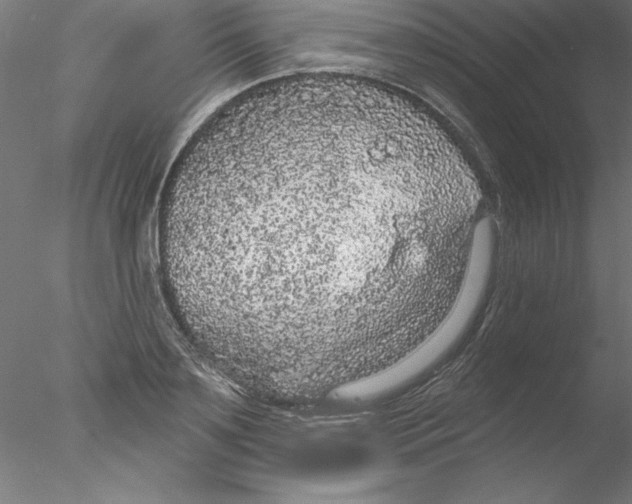 X0000076420891200611031810