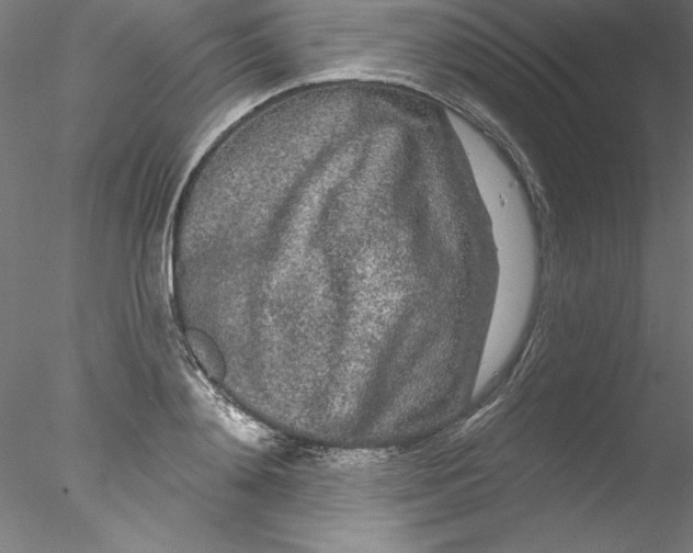 X0000076420892200611031810