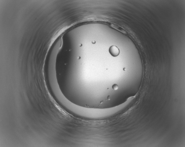 X0000076420893200611031810