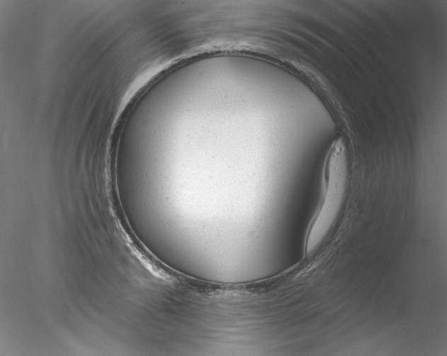 X0000076420894200611031810