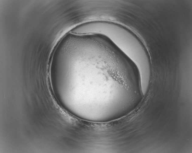 X0000076420895200611031810