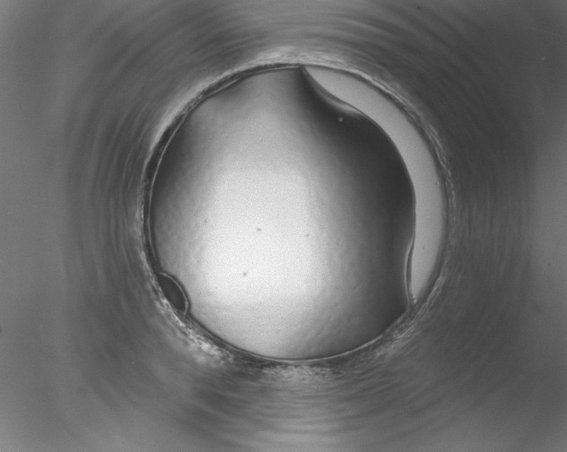 X0000076420896200611031810