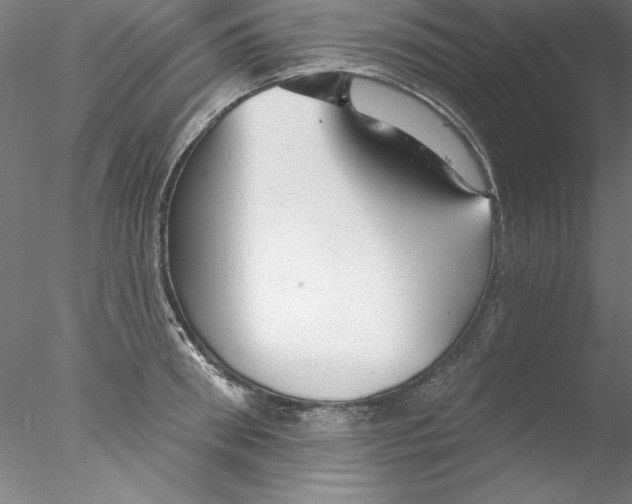 X0000076420898200611031810