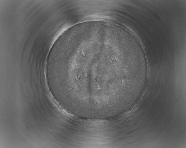 X0000076420899200611031810