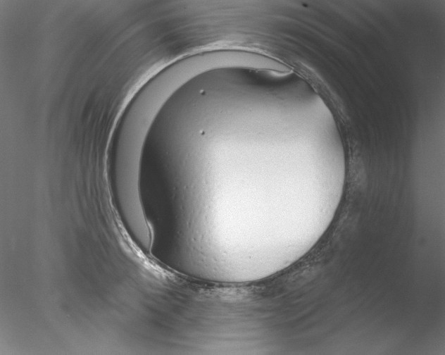 X0000076420900200611031810