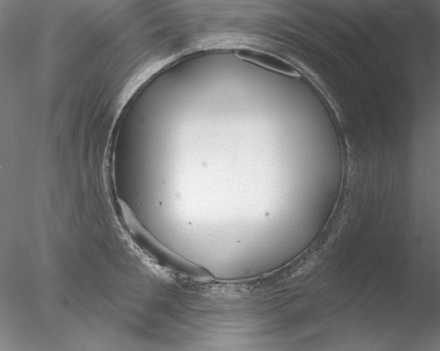 X0000076420901200611031810