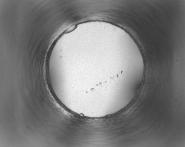 X0000076420902200611031810