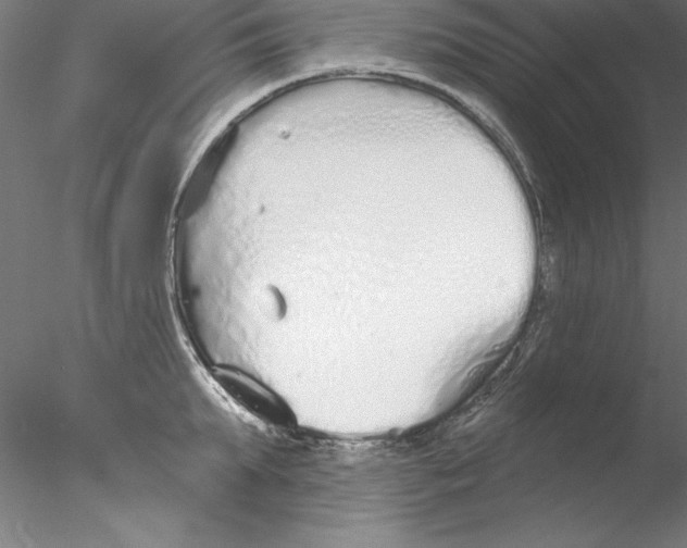 X0000076420903200611031810