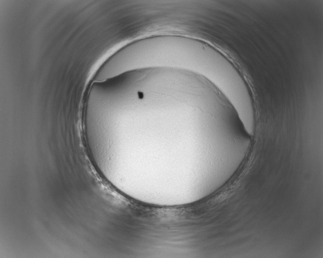 X0000076420904200611031810