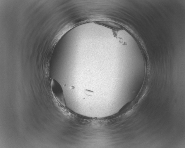 X0000076420905200611031810